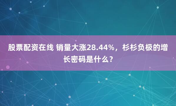 股票配资在线 销量大涨28.44%，杉杉负极的增长密码是什么？