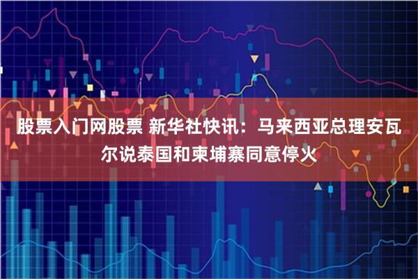 股票入门网股票 新华社快讯：马来西亚总理安瓦尔说泰国和柬埔寨同意停火
