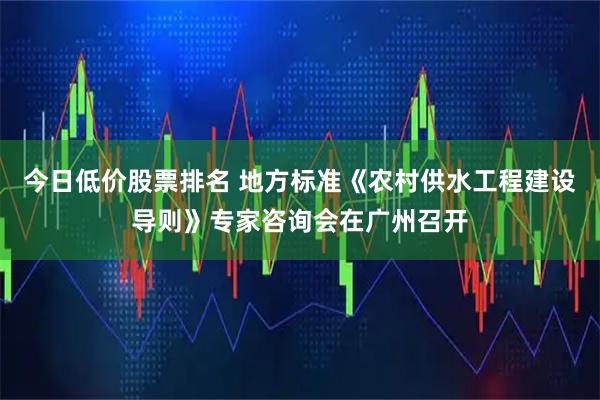 今日低价股票排名 地方标准《农村供水工程建设导则》专家咨询会在广州召开